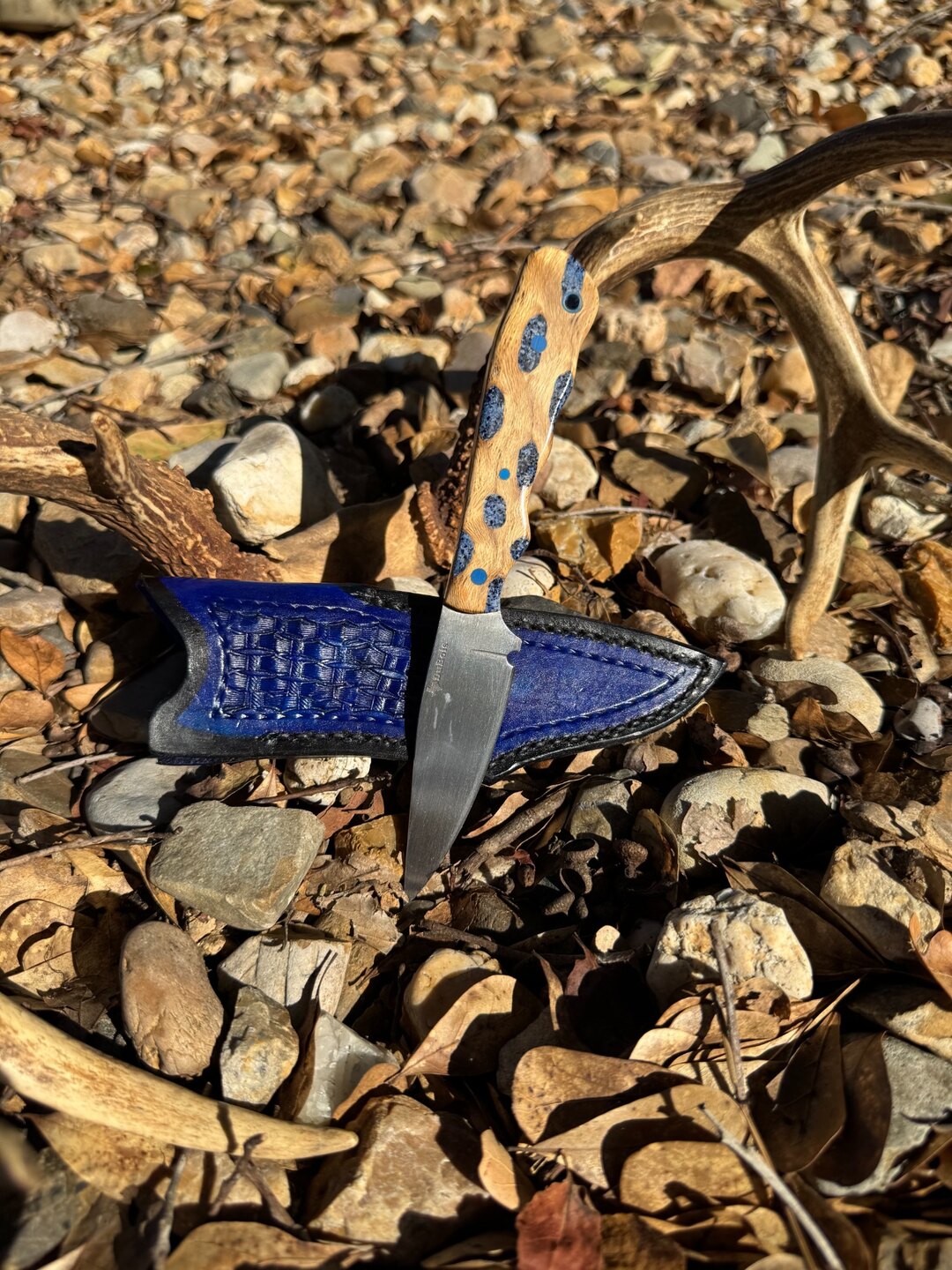8" Blue Cholla Fighter handmade knife No. 106 by Of the Woods Knives