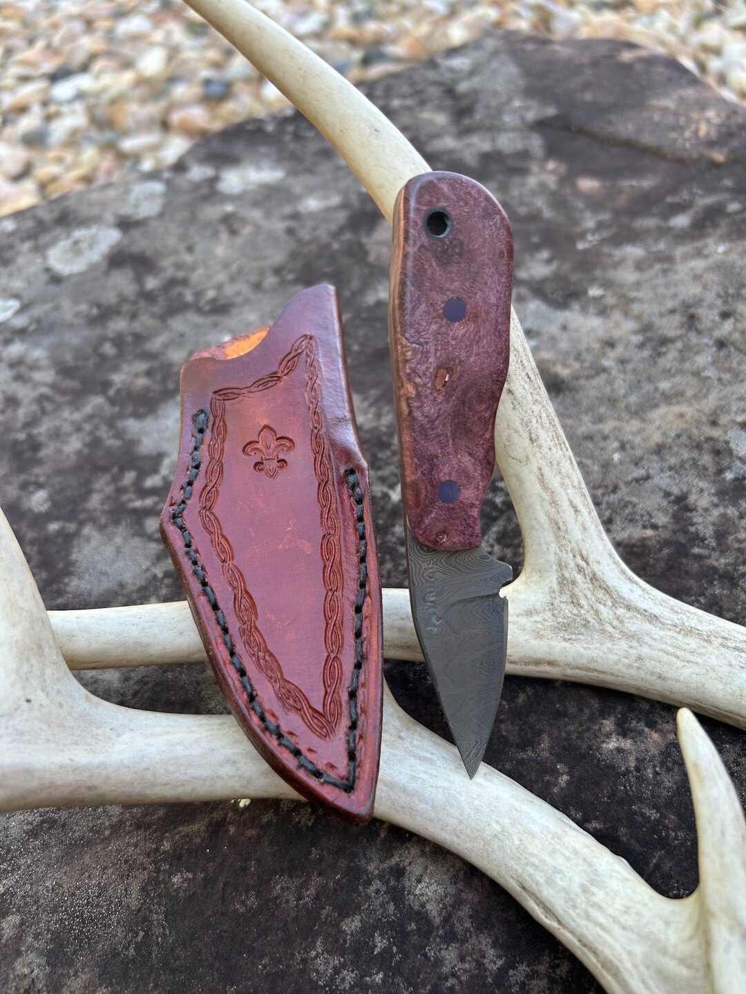 5 1/2" Surprise handmade knife No. 108 by Of the Woods Knives